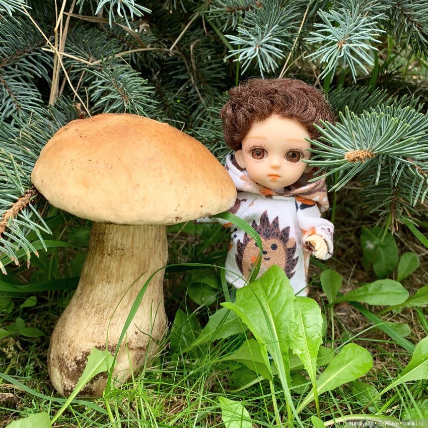 У природы нет плохой погоды (фото 10)