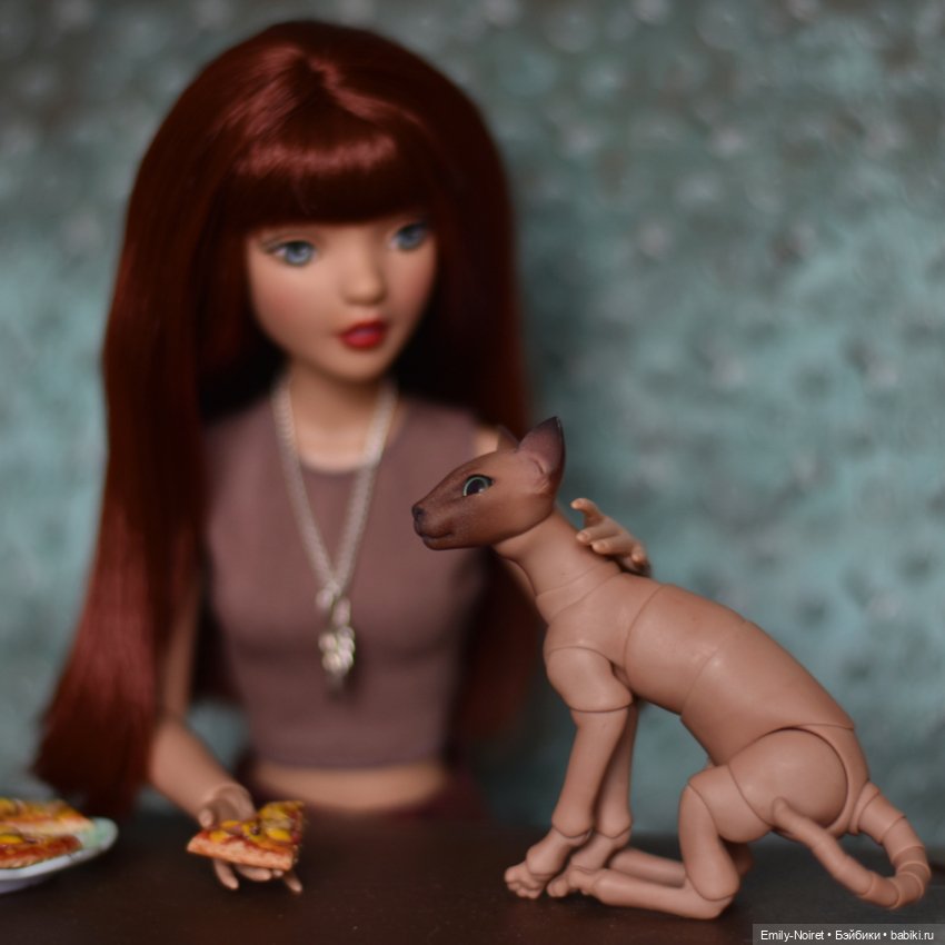 Попрошайка — Фэшн (фото 2)