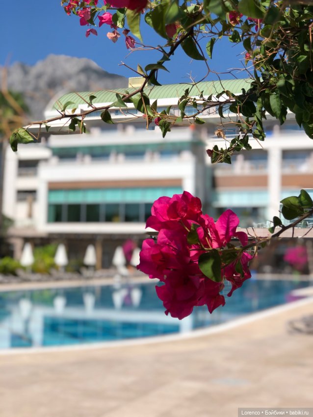 Турецкие каникулы, часть 4. Чучундры