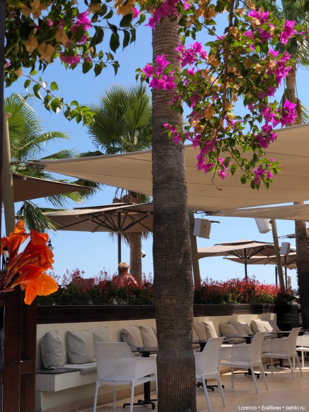 Турецкие каникулы, часть 5 (фото 7)