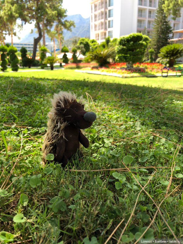 Турецкие каникулы, часть 5 (фото 2)