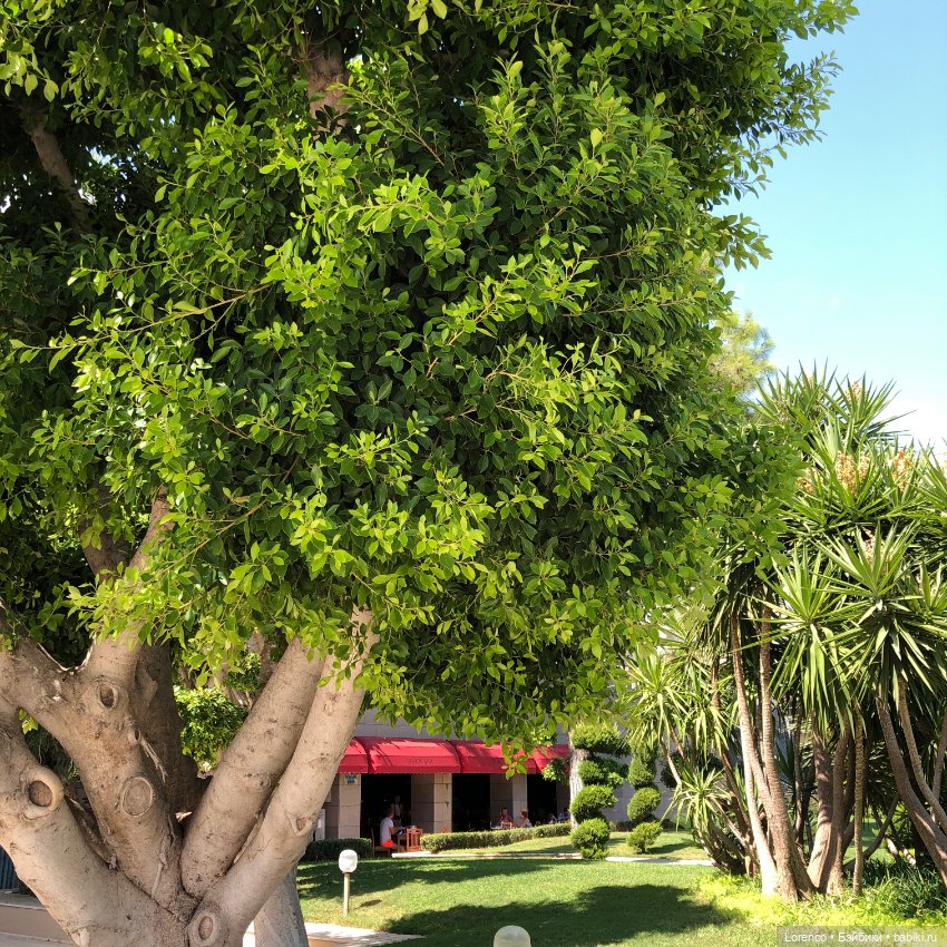 Турецкие каникулы, часть 5 (фото 5)