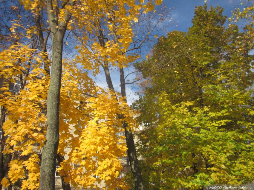 Рыжие и прекрасные — Фэшн