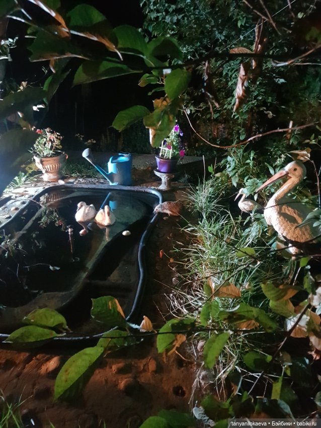 До свидания море, до свидания (фото 5)