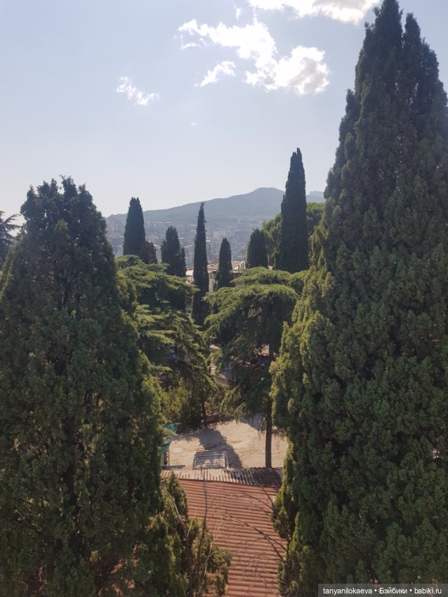 До свидания море, до свидания