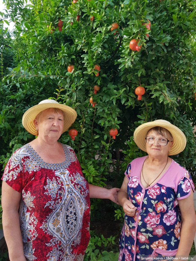 До свидания море, до свидания