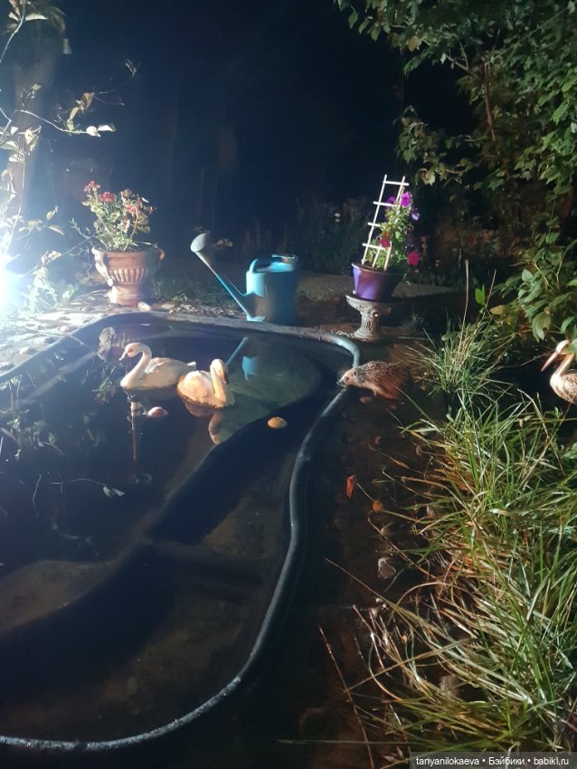 До свидания море, до свидания (фото 4)