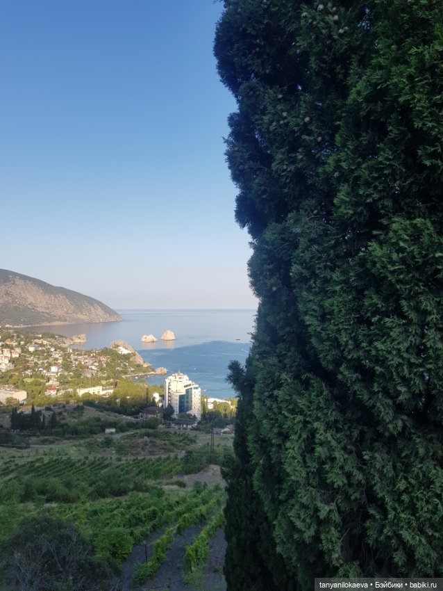 До свидания море, до свидания (фото 6)