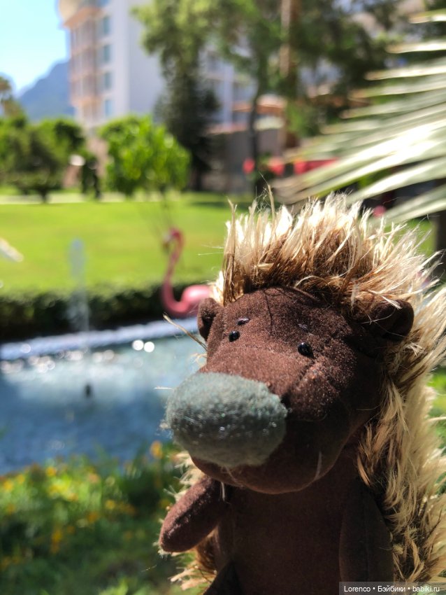 Турецкие каникулы, часть 5