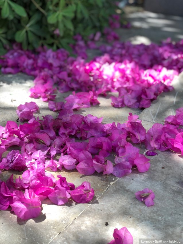 Турецкие каникулы, часть 5