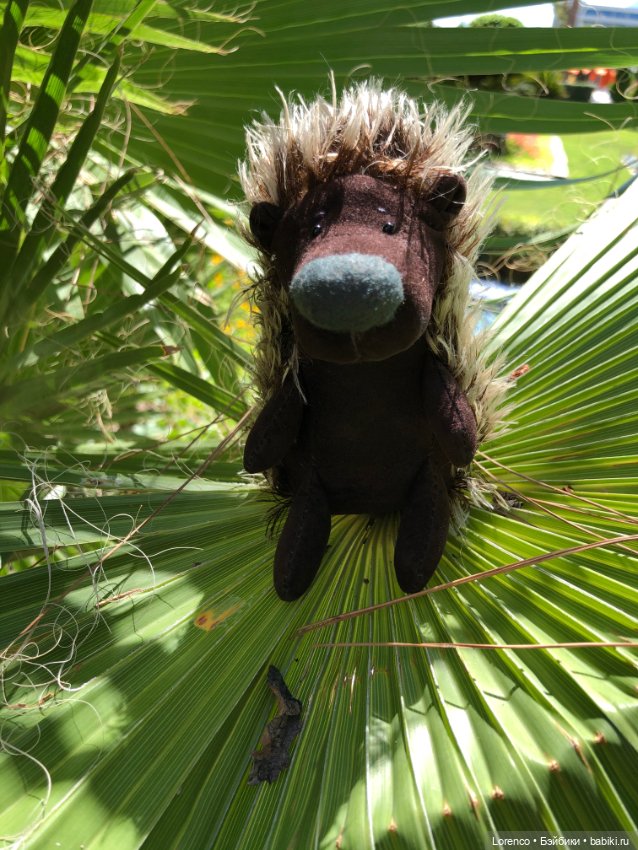 Турецкие каникулы, часть 5