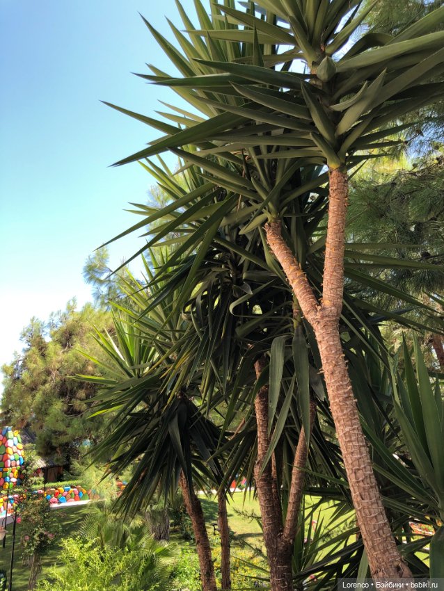 Турецкие каникулы, часть 5