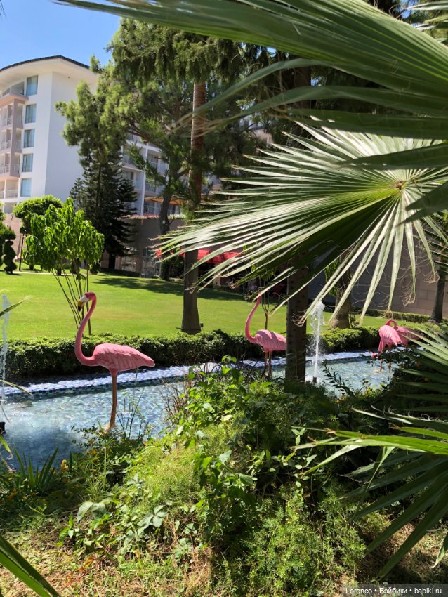 Турецкие каникулы, часть 5 (фото 10)