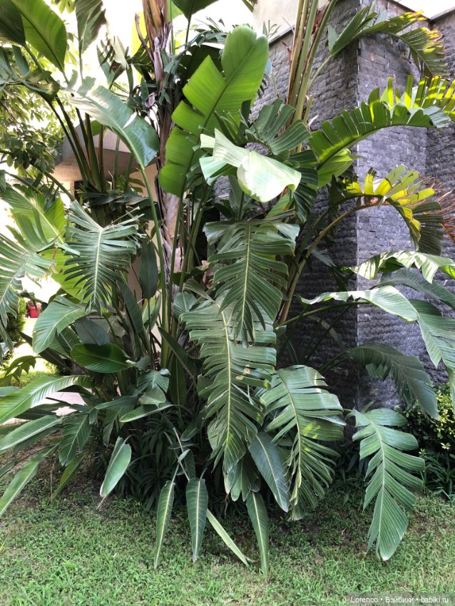 Турецкие каникулы, часть 5