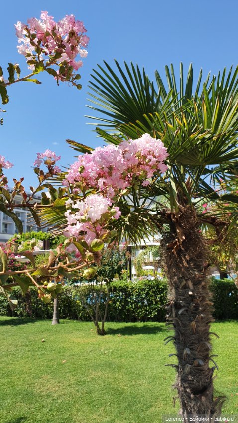 Турецкие каникулы, часть 5