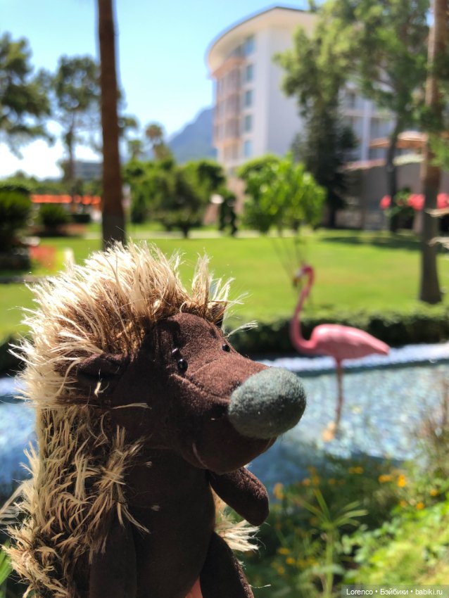 Турецкие каникулы, часть 5