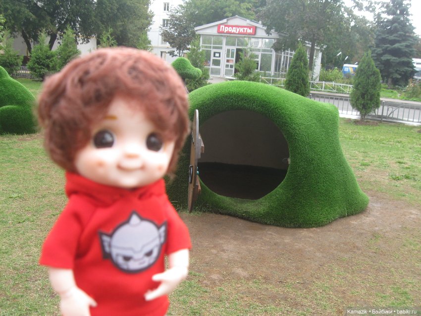 Вася. Немножечко погуляли (фото 7)