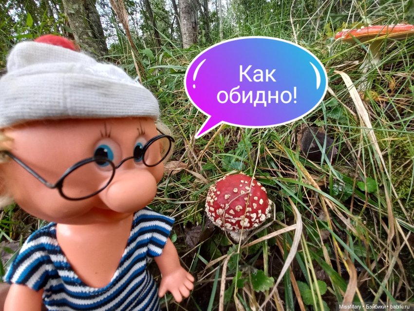 Весёлые картинки. В лес по грибы