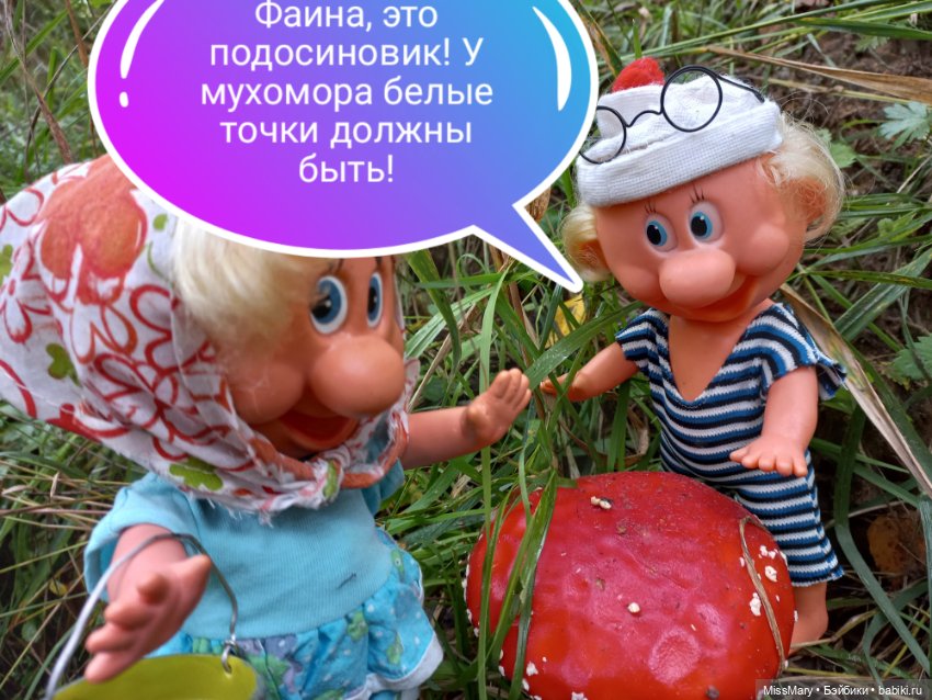 Весёлые картинки. В лес по грибы (фото 7)