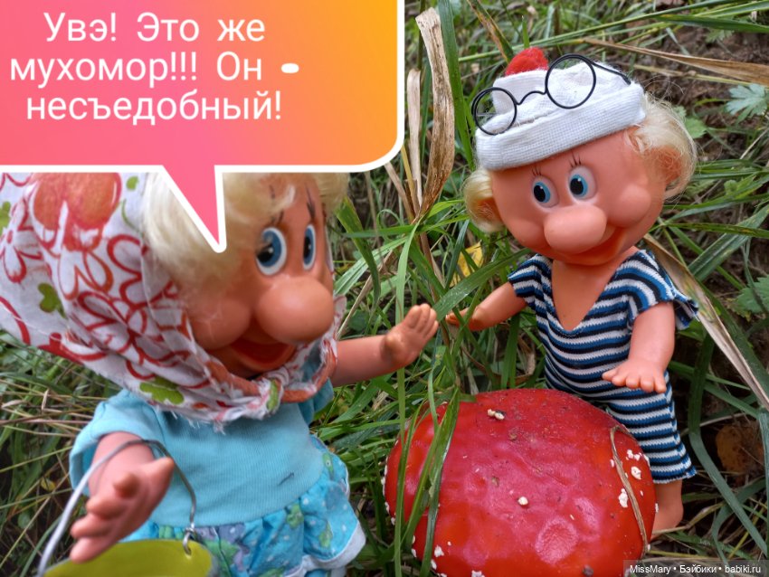 Весёлые картинки. В лес по грибы (фото 6)