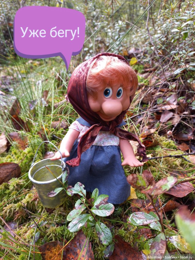 Весёлые картинки. В лес по грибы