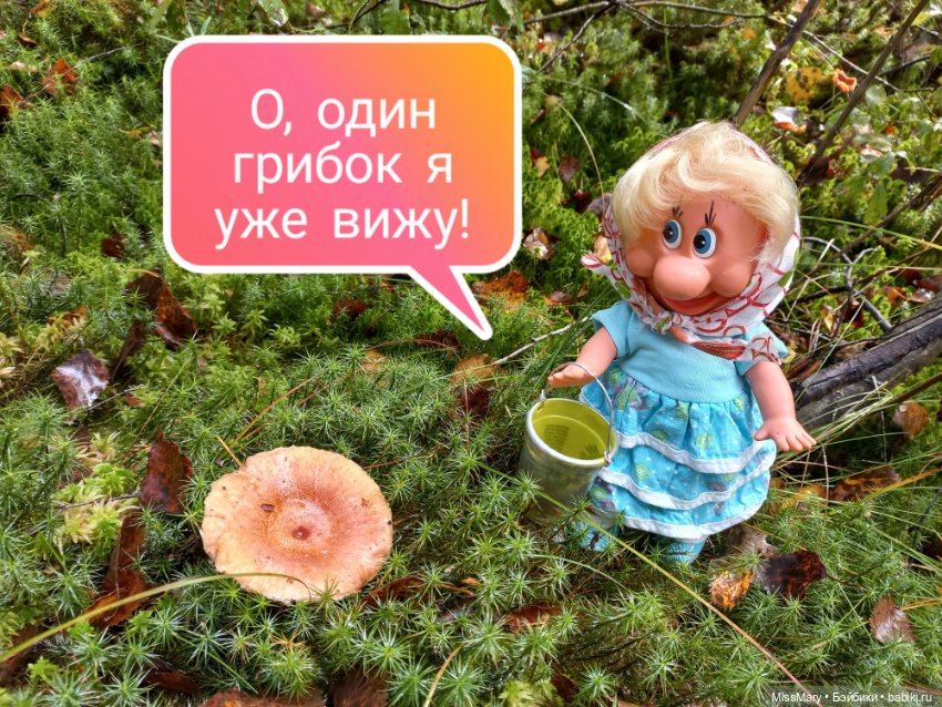 Весёлые картинки. В лес по грибы