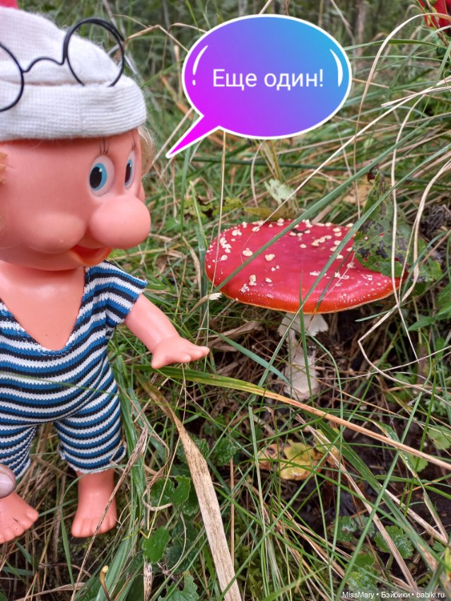 Весёлые картинки. В лес по грибы (фото 3)