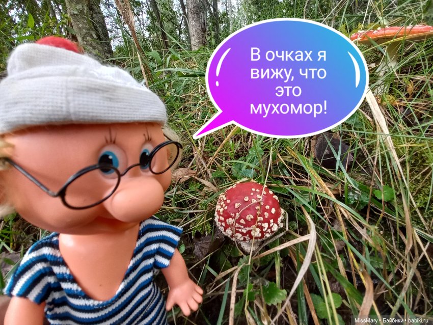 Весёлые картинки. В лес по грибы