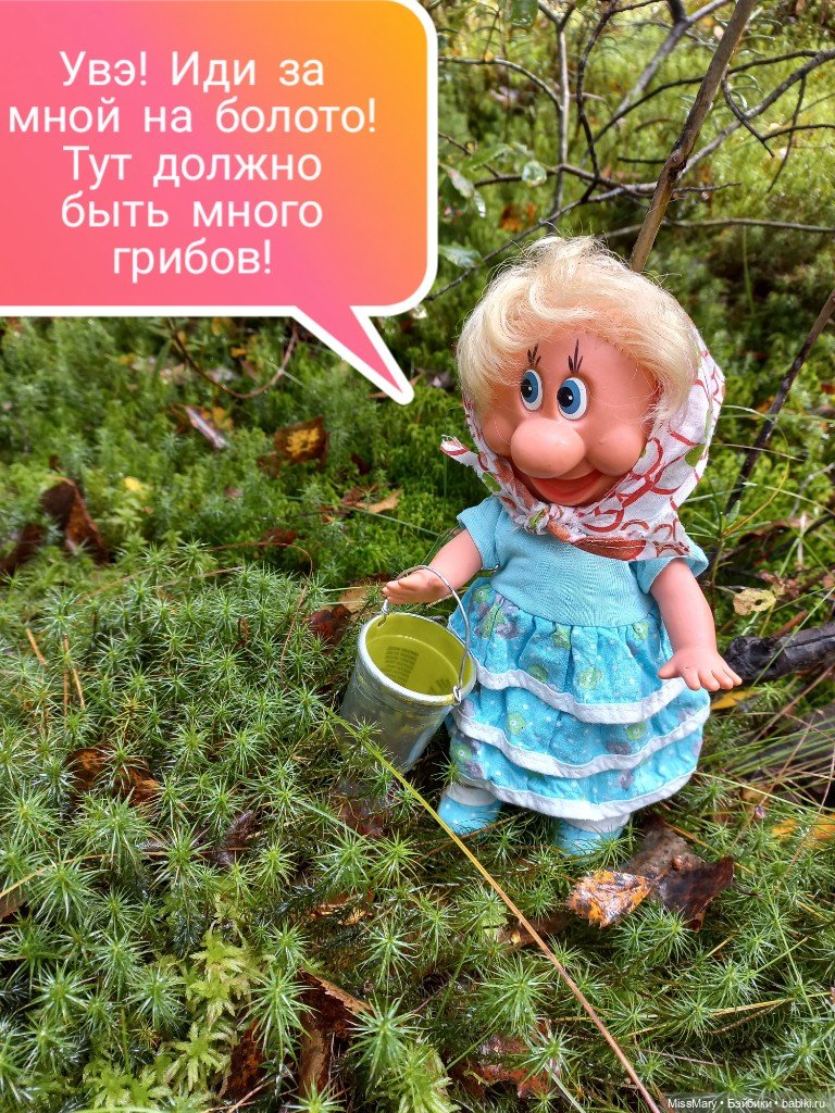 Весёлые картинки. В лес по грибы