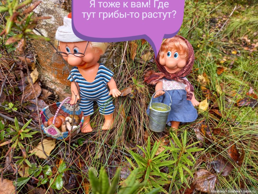 Весёлые картинки. В лес по грибы