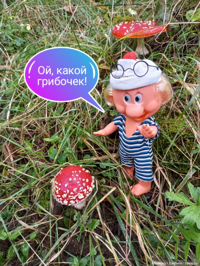 Весёлые картинки. В лес по грибы