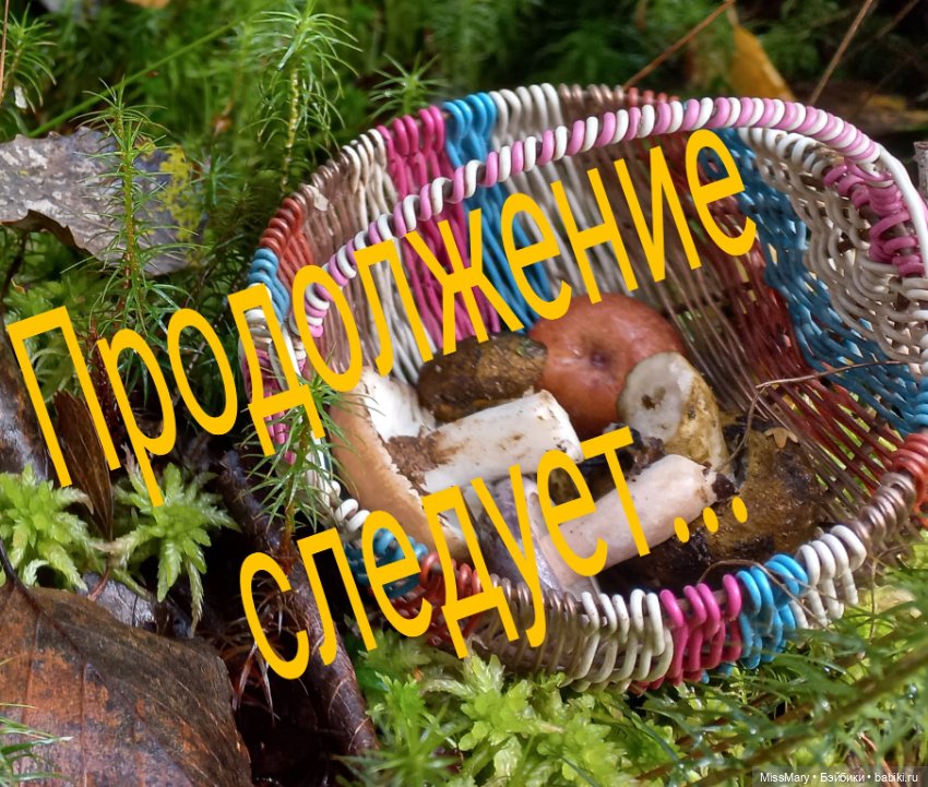 Весёлые картинки. В лес по грибы