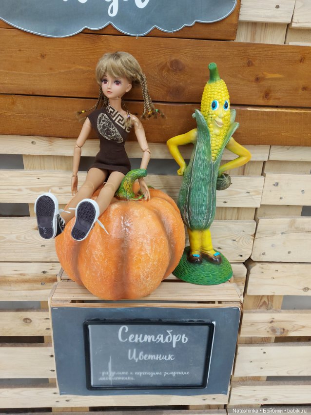 Fashion Dolls 253 — Куклы Звезды подиума (Angel Collection): шарнирные