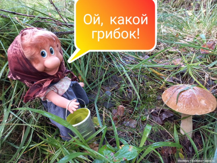 Весёлые картинки. Грибной азарт (фото 2)