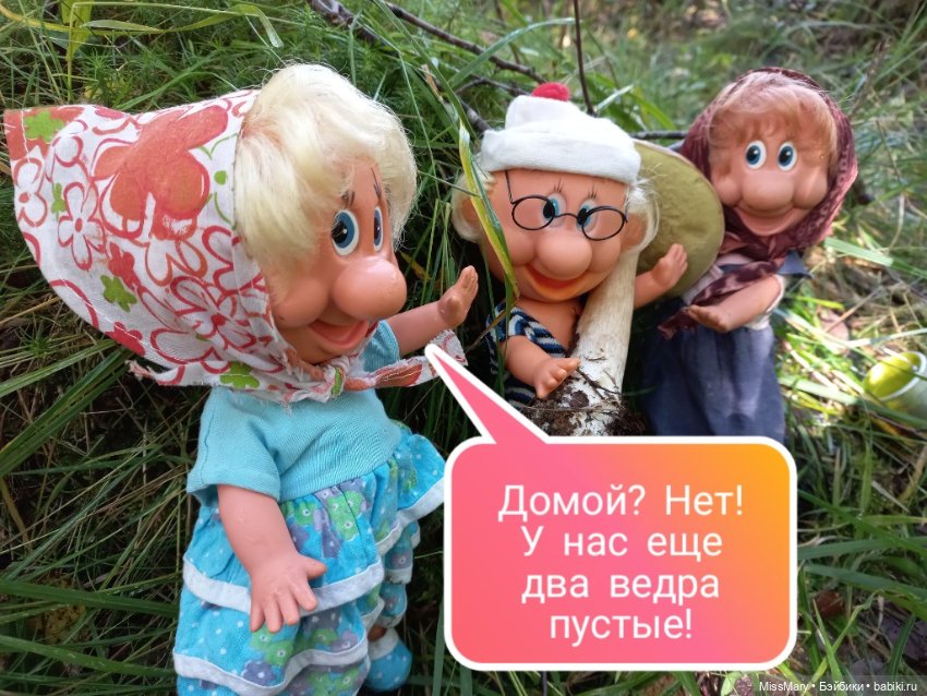 Весёлые картинки. Грибной азарт