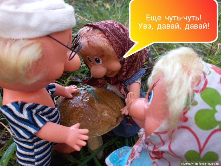 Весёлые картинки. Грибной азарт