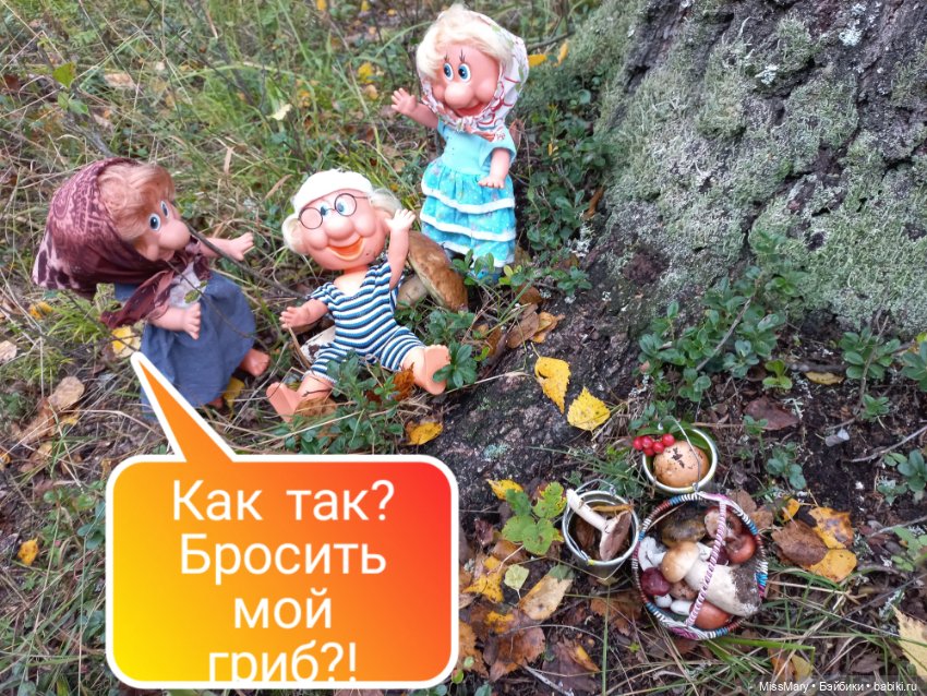 Весёлые картинки. Грибной азарт