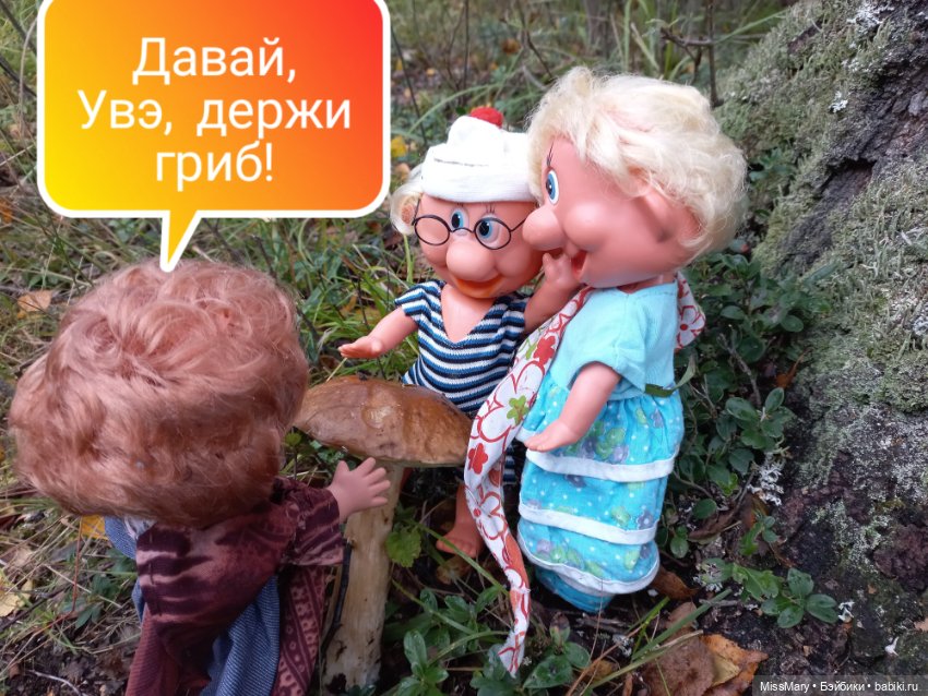 Весёлые картинки. Грибной азарт