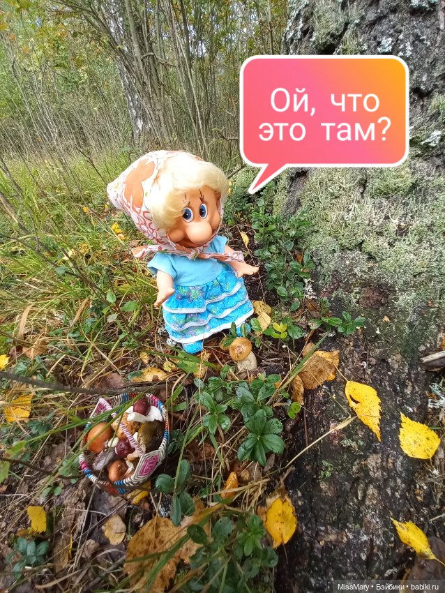 Весёлые картинки. Грибной азарт