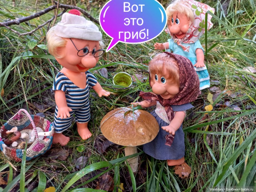 Весёлые картинки. Грибной азарт (фото 7)