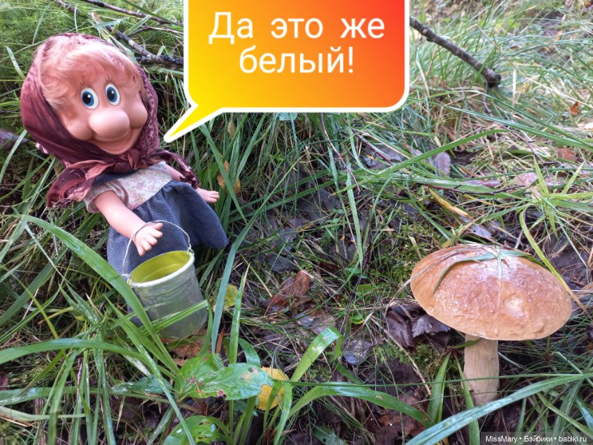 Весёлые картинки. Грибной азарт (фото 3)