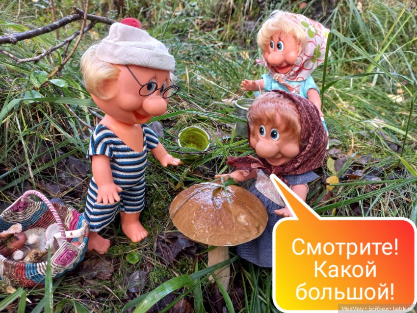 Весёлые картинки. Грибной азарт (фото 6)