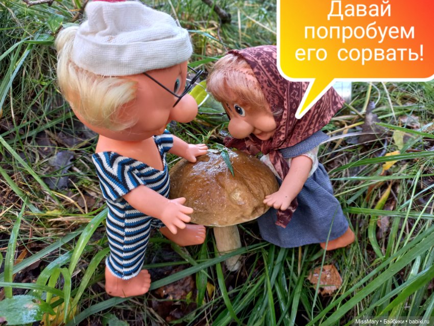 Весёлые картинки. Грибной азарт (фото 8)