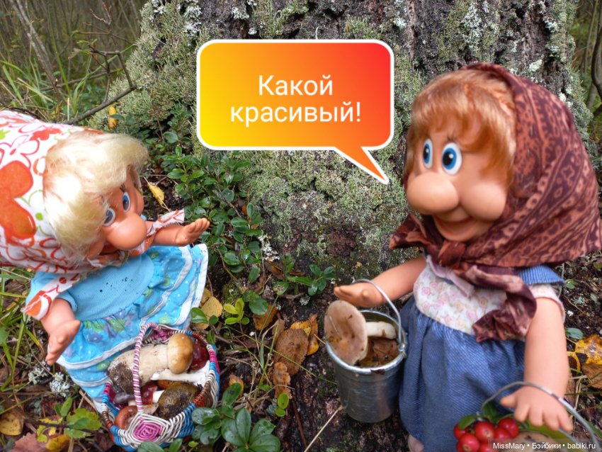 Весёлые картинки. Грибной азарт