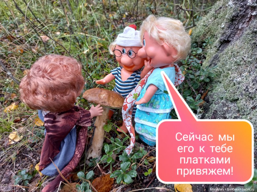 Весёлые картинки. Грибной азарт