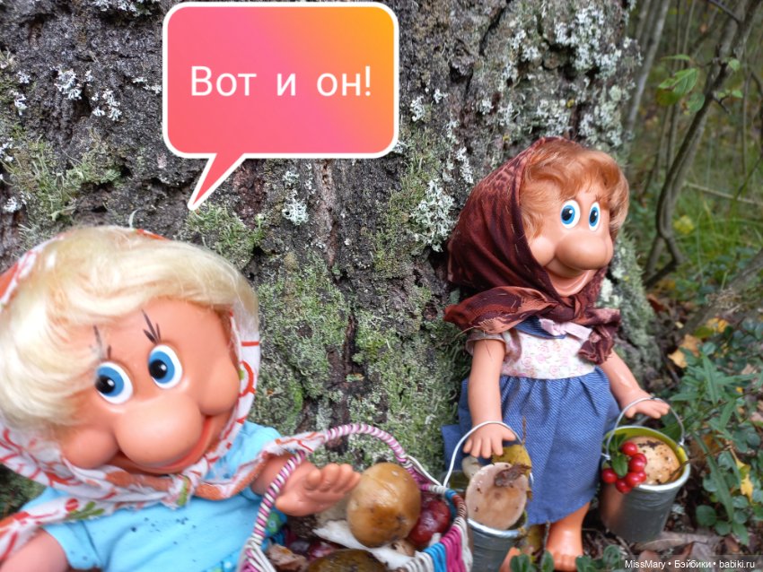 Весёлые картинки. Грибной азарт