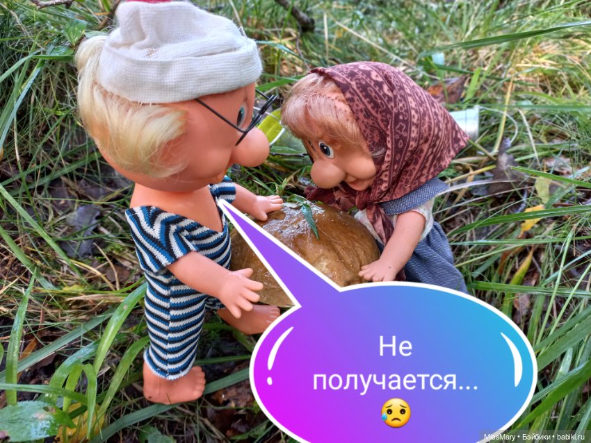 Весёлые картинки. Грибной азарт (фото 9)