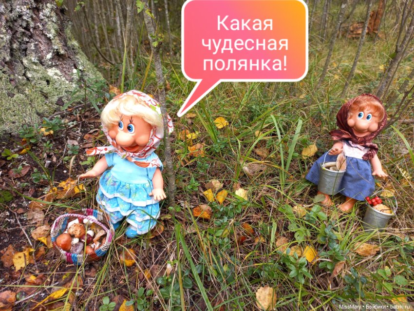 Весёлые картинки. Грибной азарт