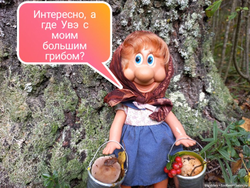 Весёлые картинки. Грибной азарт