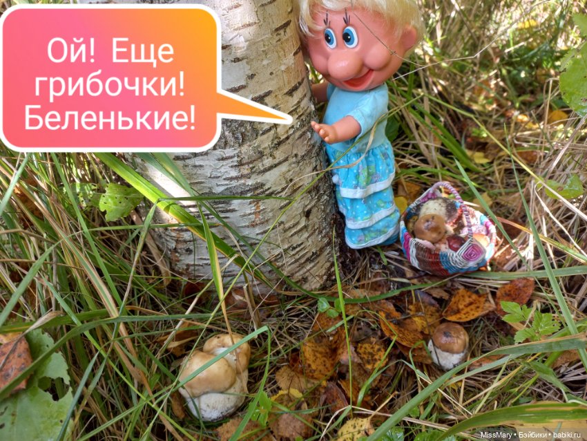 Весёлые картинки. Грибной азарт